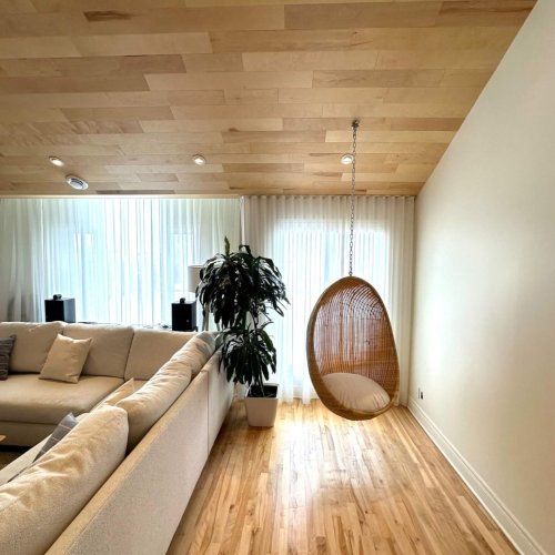 Rénovation majeure du rez-de-chaussée _ Projet Hudon